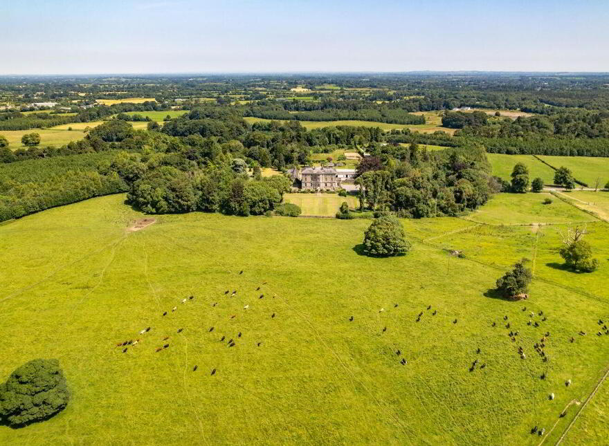Rahinstown Estate, Summerhill, A83Y267