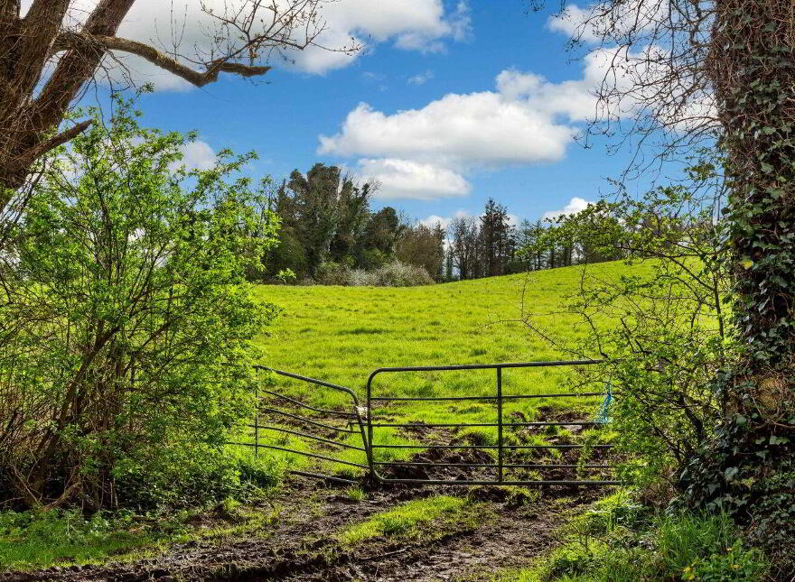 Drumbar, Cavan