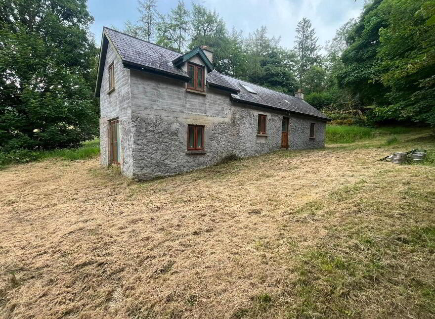 Ballinabarney, Davidstown, Davidstown, W91F589