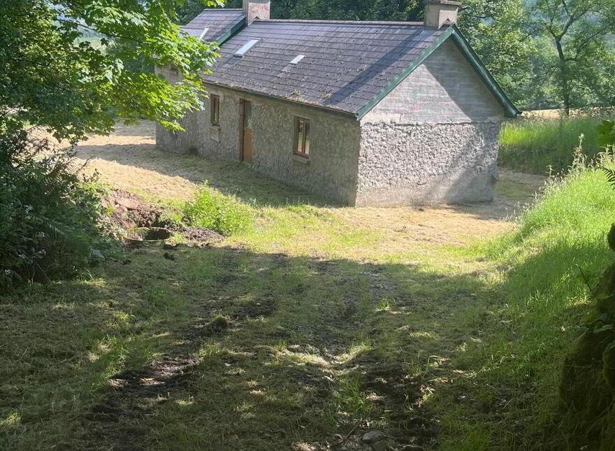 Ballinabarney, Davidstown, Davidstown, W91F589