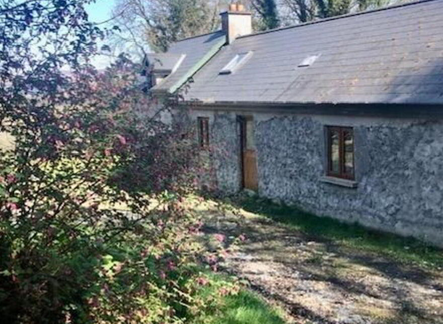Ballinabarney, Davidstown, Davidstown, W91F589