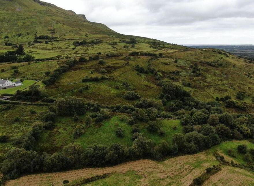 Shesknan, Glenade