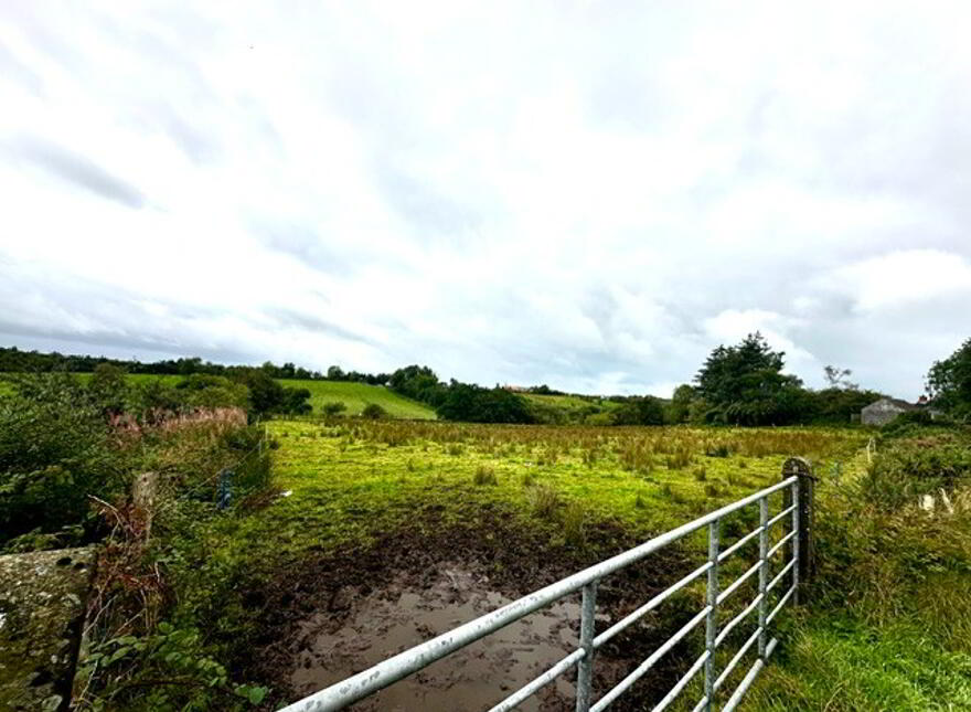 241 Drumnakilly Road, Carrickmore, Omagh, BT79 9PU