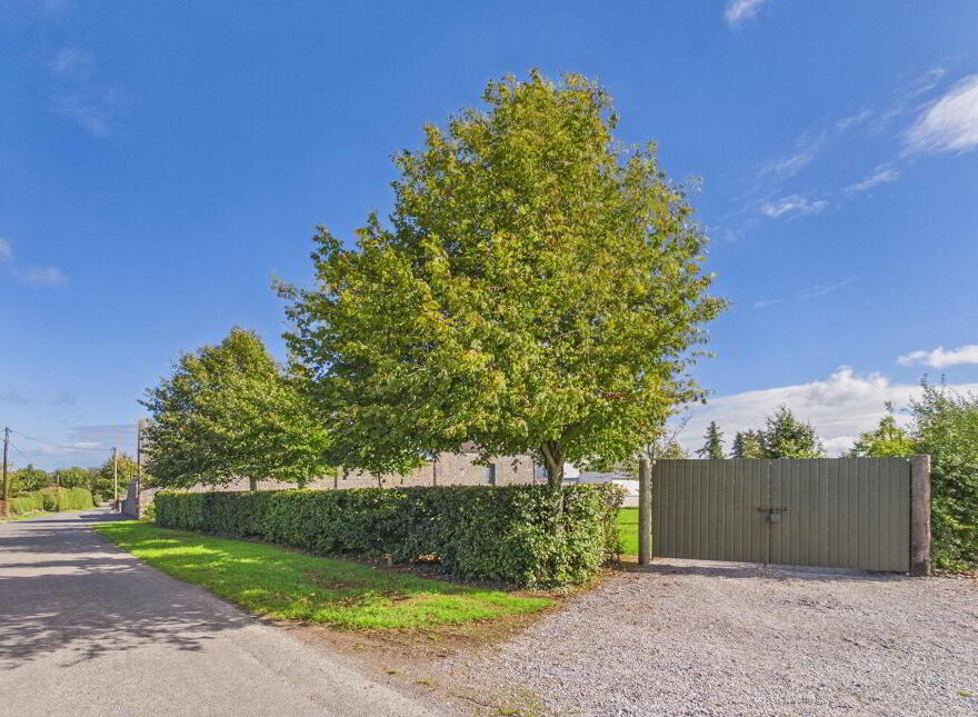 Grangemore, Dualla, E25H424