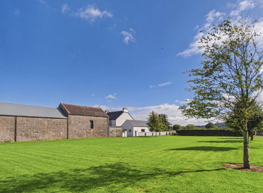 Grangemore, Dualla, E25H424