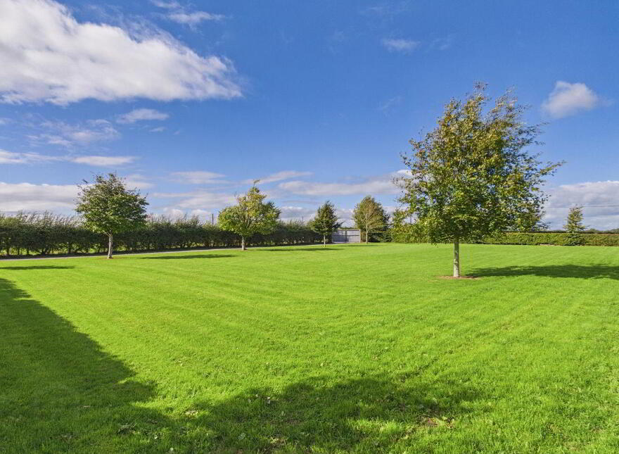 Grangemore, Dualla, E25H424