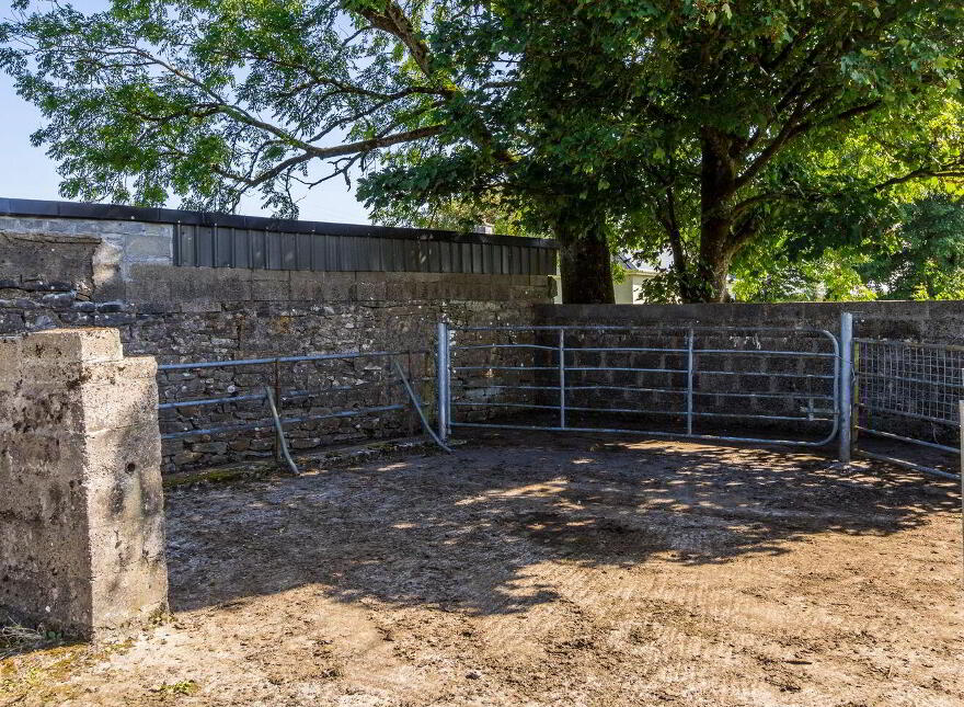 Land At, Moneenally, Williamstown, F45D763