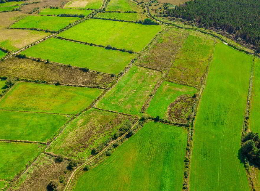 Land At, Moneenally, Williamstown, F45D763