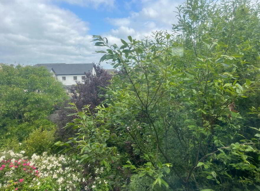 Clarke Street, Athenry, H65X430
