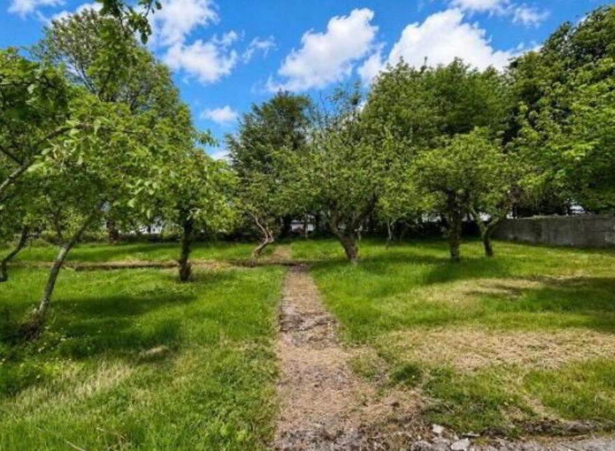 Ryehill, Monivea, H65W681