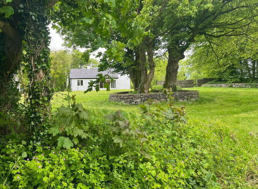 Ryehill, Monivea, H65W681