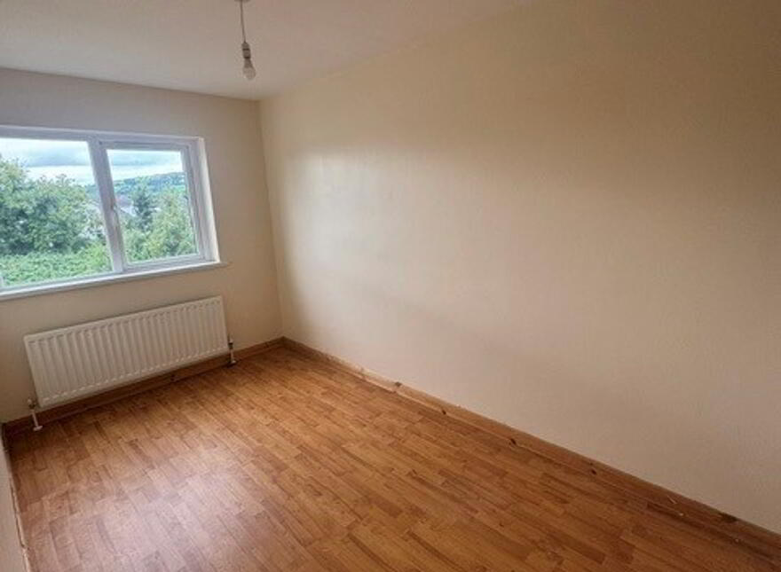 54 Castlefinn Road, Castlederg, BT81 7EE