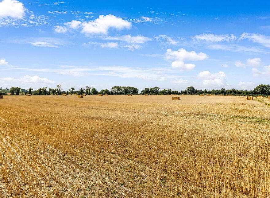 Attractive, 22.5 Acre Farm, Cloncullen, Robinstown, Robinstown