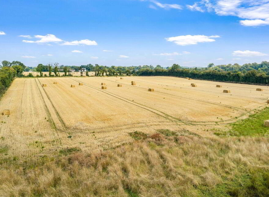 Attractive, 22.5 Acre Farm, Cloncullen, Robinstown, Robinstown