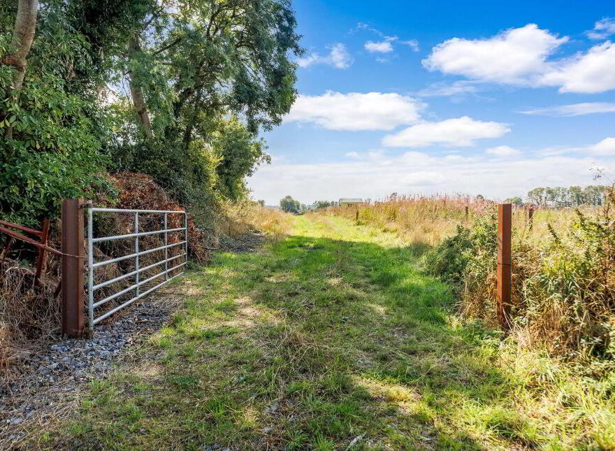 Attractive, 22.5 Acre Farm, Cloncullen, Robinstown, Robinstown