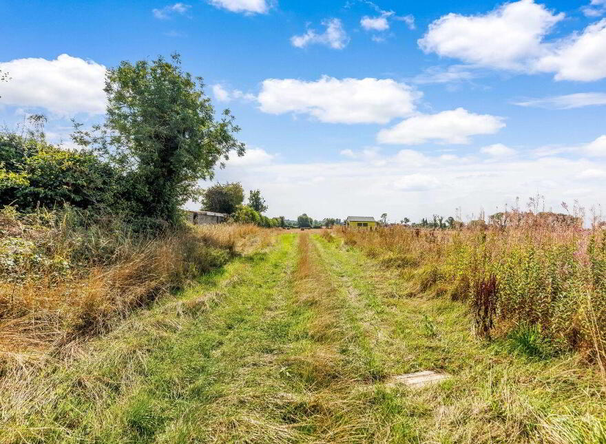 Attractive, 22.5 Acre Farm, Cloncullen, Robinstown, Robinstown