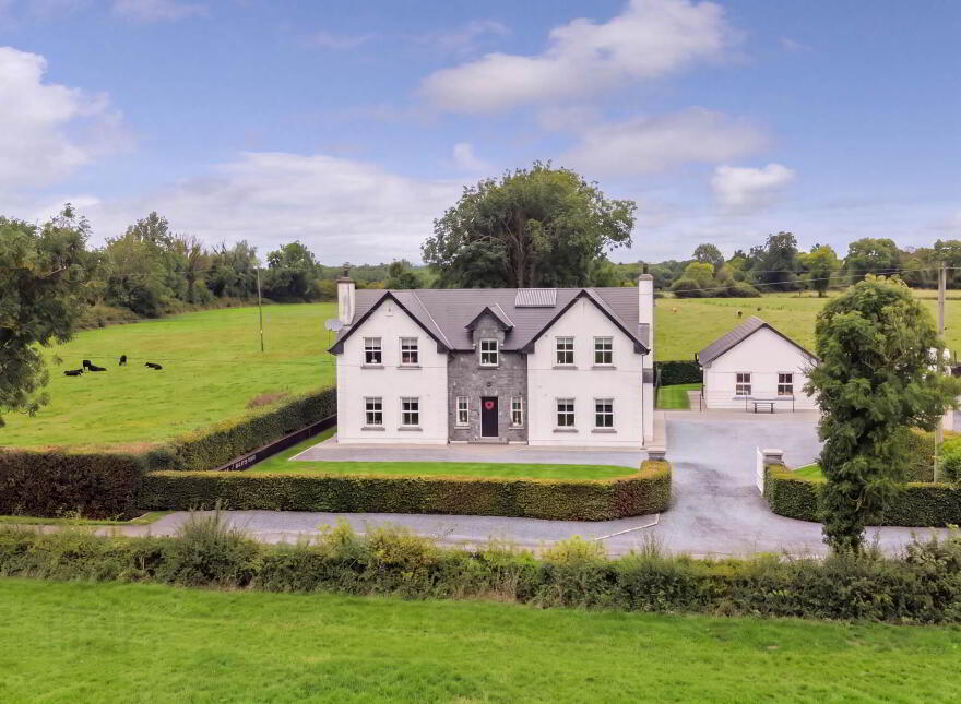 The Wood, Kildalkey, C15X4Y0