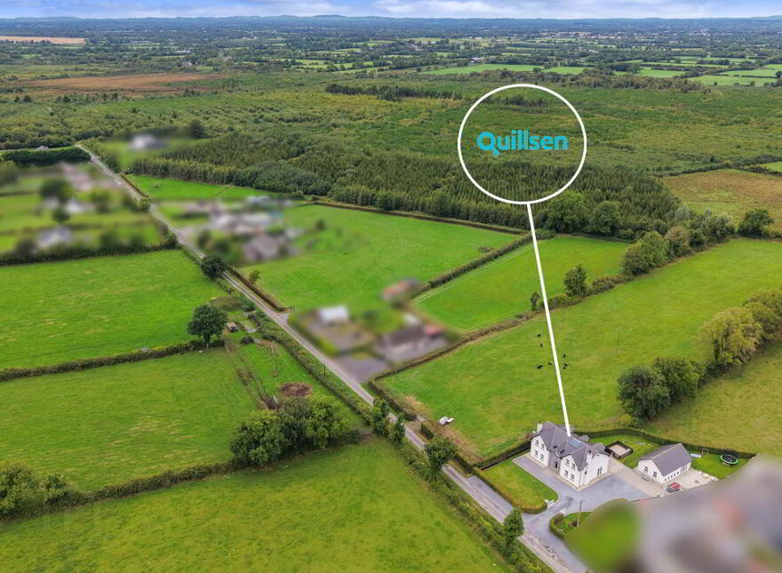 The Wood, Kildalkey, C15X4Y0