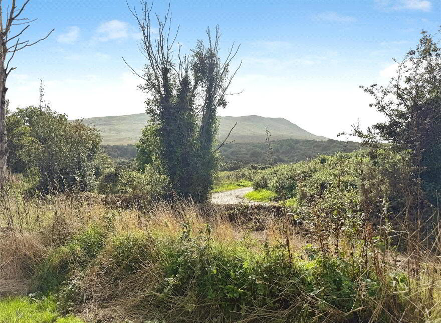 163 Legavallon Road, Dungiven, BT47 4QN