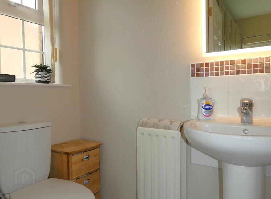 19 Millbrooke Manor, Ballymoney, BT53 7HX