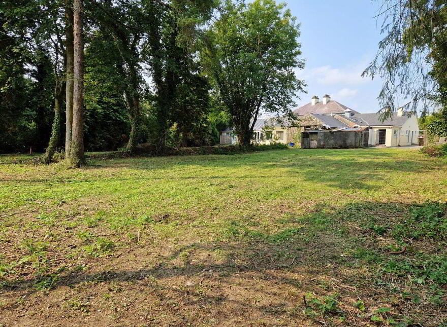 The Vintage, Moydow, N39Y6W7