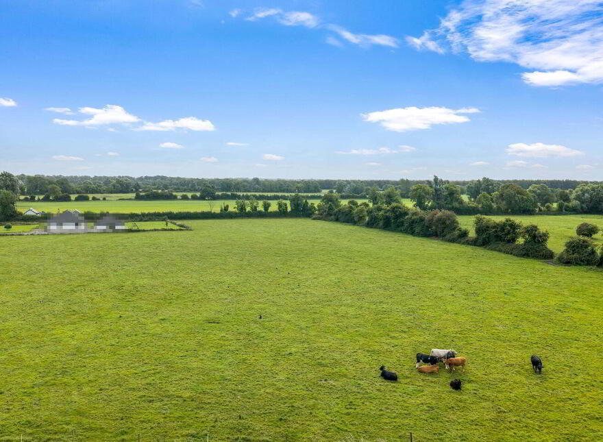 House On 7.8 Acres, Ballyfallon, Athboy, C15DW40
