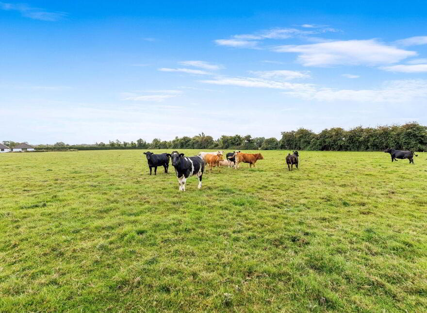 House On 7.8 Acres, Ballyfallon, Athboy, C15DW40
