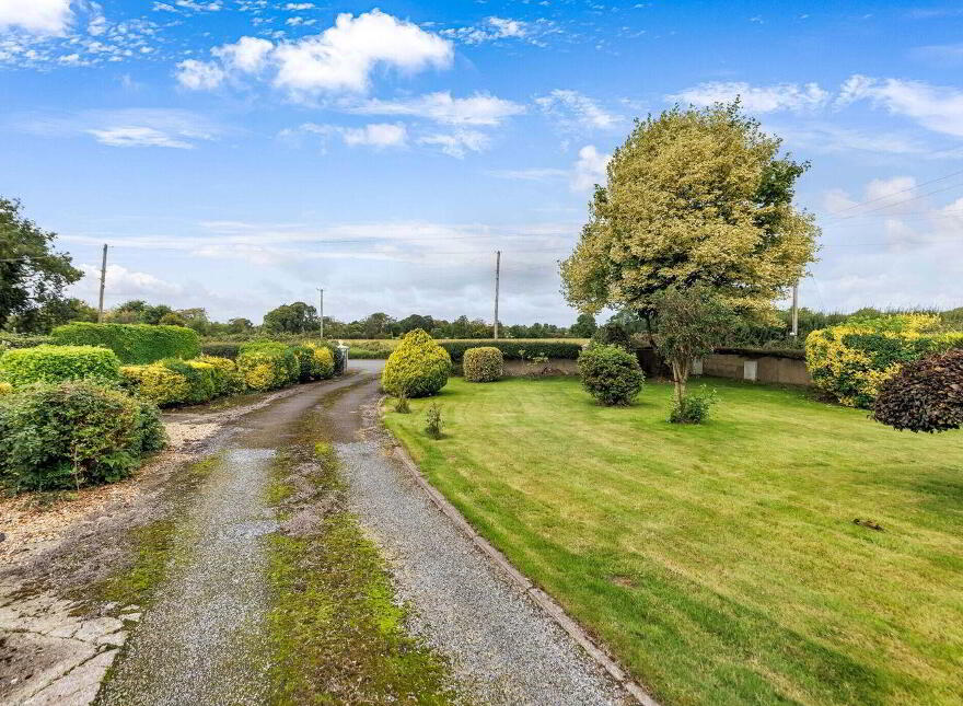 House On 7.8 Acres, Ballyfallon, Athboy, C15DW40