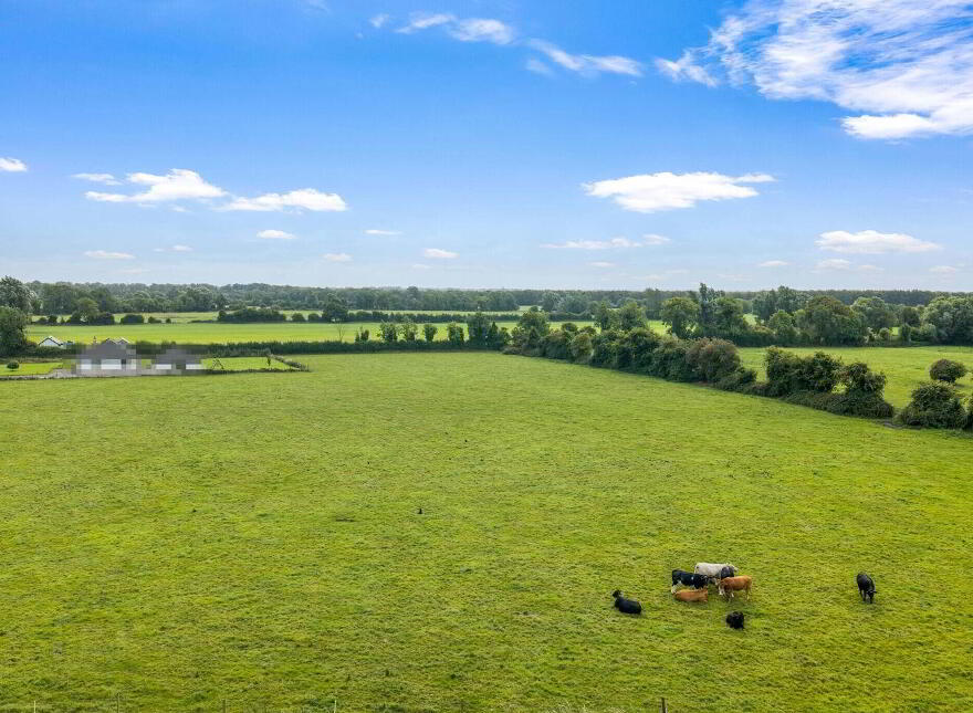 House On 7.8 Acres, Ballyfallon, Athboy, C15DW40