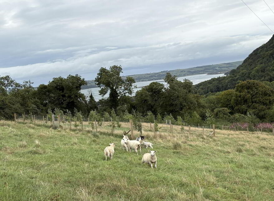 Jubilee Farm, 50 Glenburn Road, Glynn, Larne, BT40 3JY