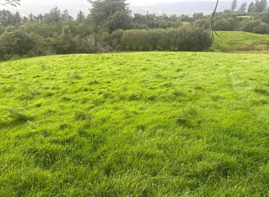 Ardnableask, Donegal Town