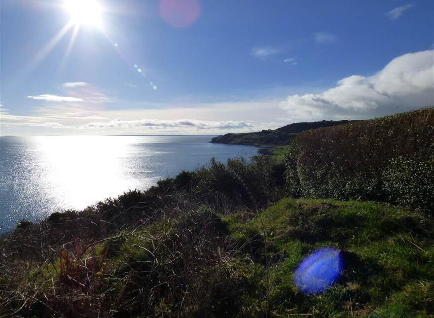 The Cove Workshop, 61 Gobbins Road, Islandmagee, Larne, BT40 3TY
