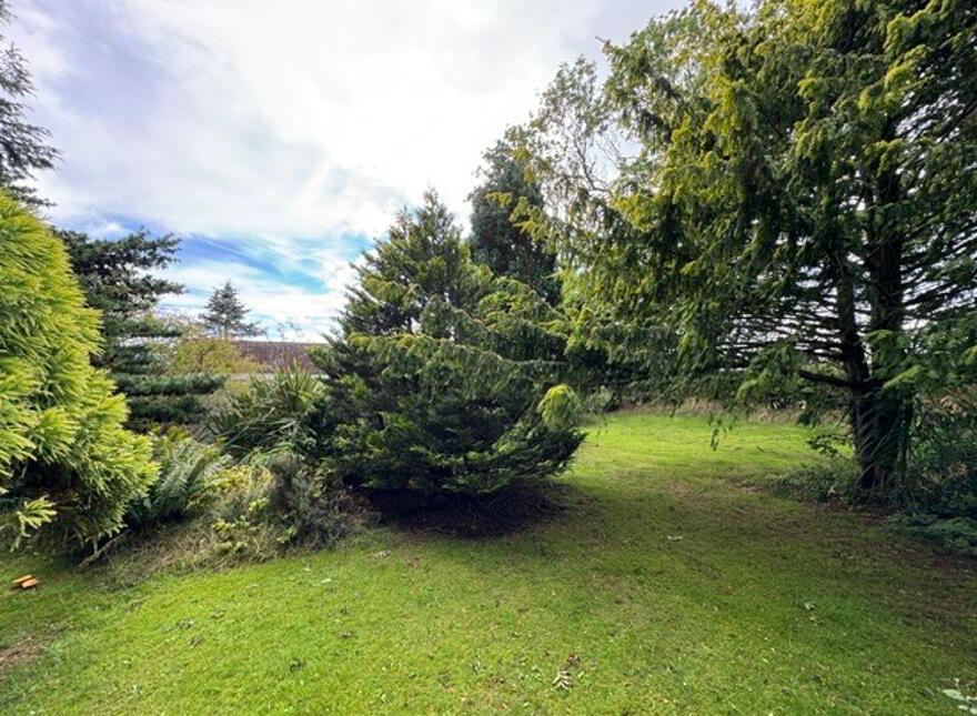 77 Raw Brae Road, Whitehead, BT38 9SZ