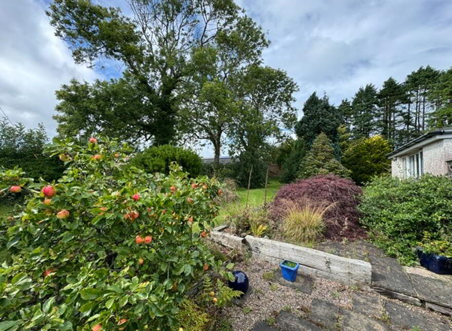 77 Raw Brae Road, Whitehead, BT38 9SZ