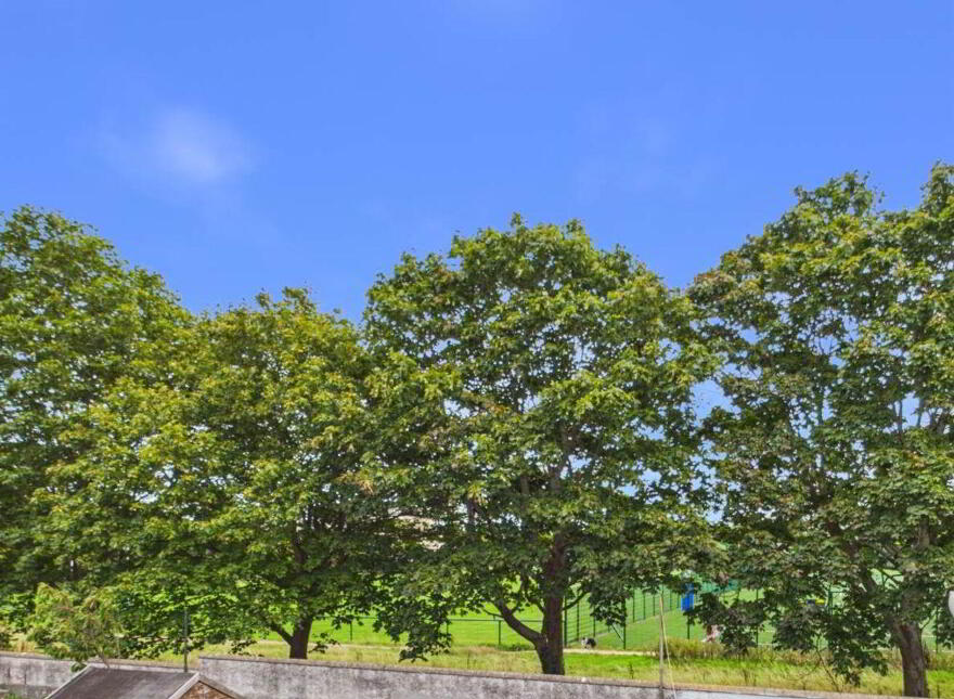 86 Beech Hill Drive, Donnybrook, Belfield, D04A2C8