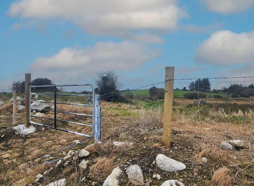 C. 12.5 Acres & Derelict Cottage, Curryane, Swinford