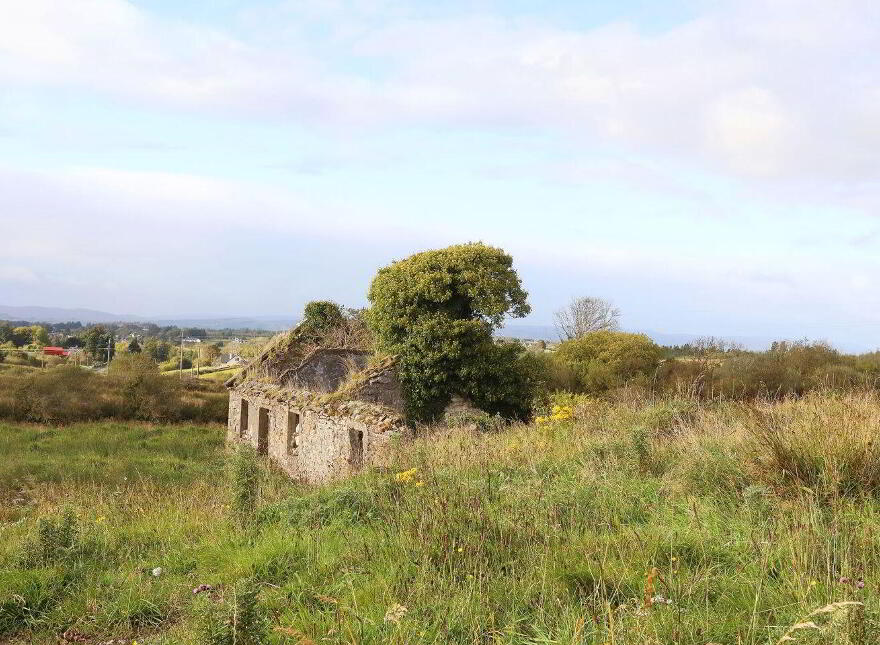 C. 12.5 Acres & Derelict Cottage, Curryane, Swinford