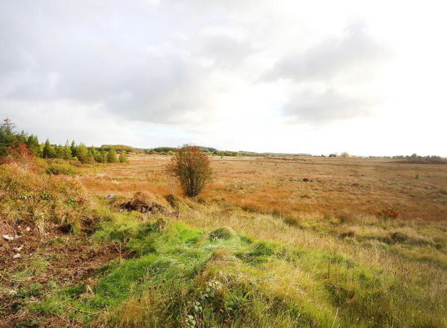C. 12.5 Acres & Derelict Cottage, Curryane, Swinford