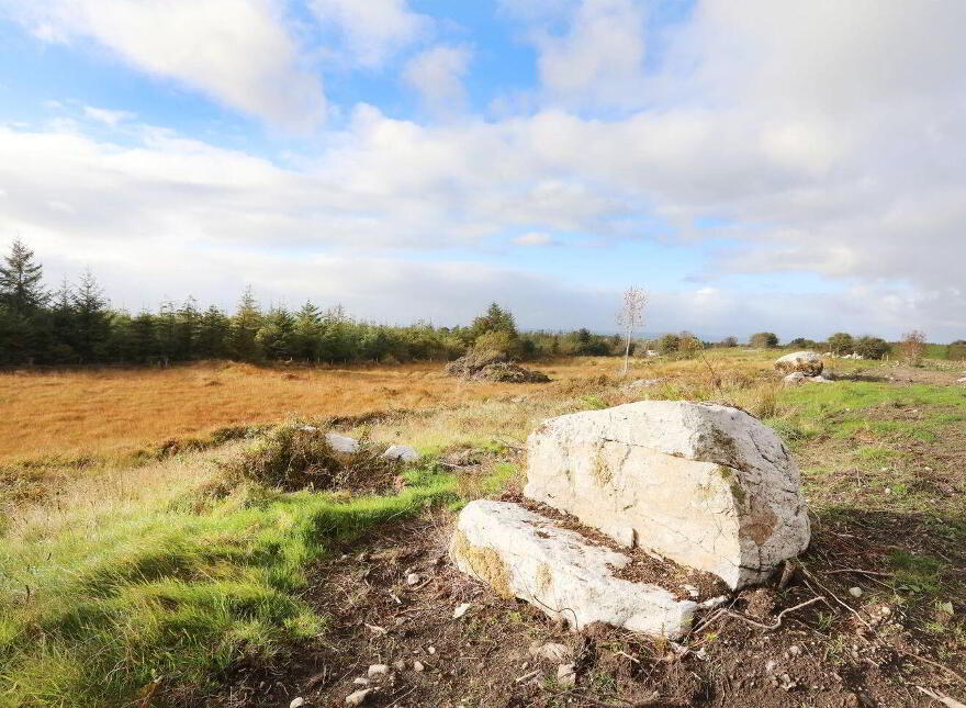 C. 12.5 Acres & Derelict Cottage, Curryane, Swinford