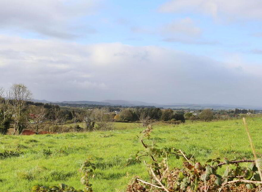 C. 12.5 Acres & Derelict Cottage, Curryane, Swinford