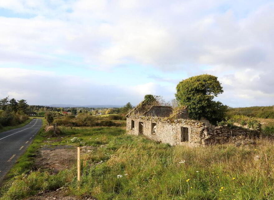 C. 12.5 Acres & Derelict Cottage, Curryanne, Swinford