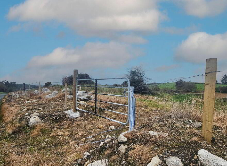 C. 12.5 Acres & Derelict Cottage, Curryanne, Swinford