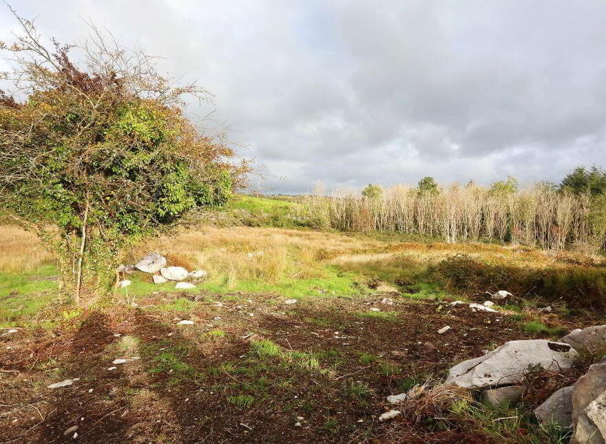 C. 12.5 Acres & Derelict Cottage, Curryanne, Swinford