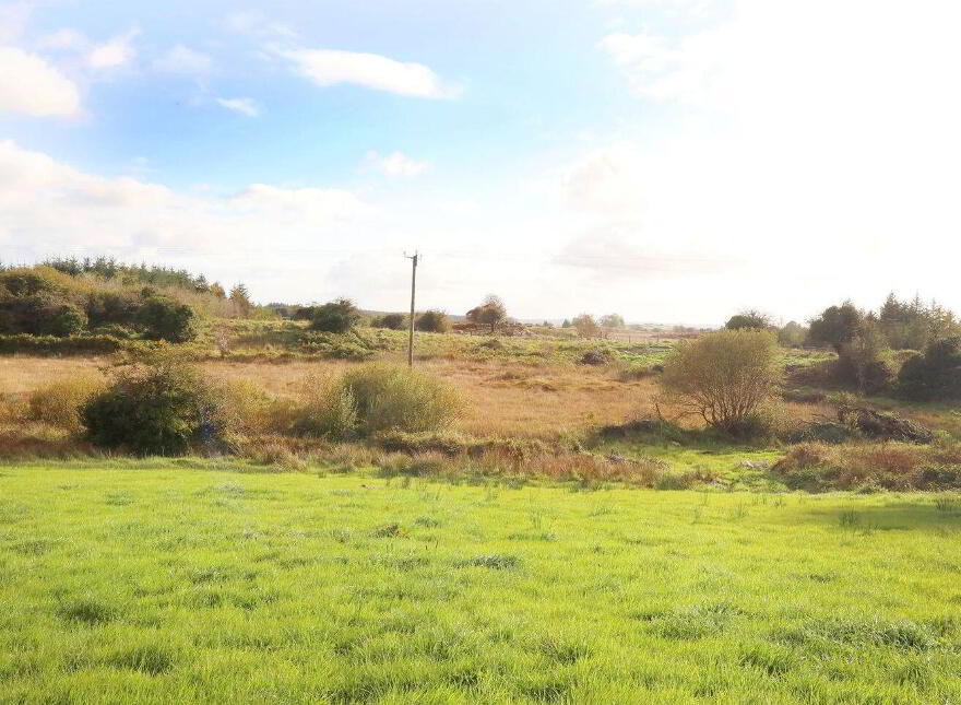 C. 12.5 Acres & Derelict Cottage, Curryanne, Swinford