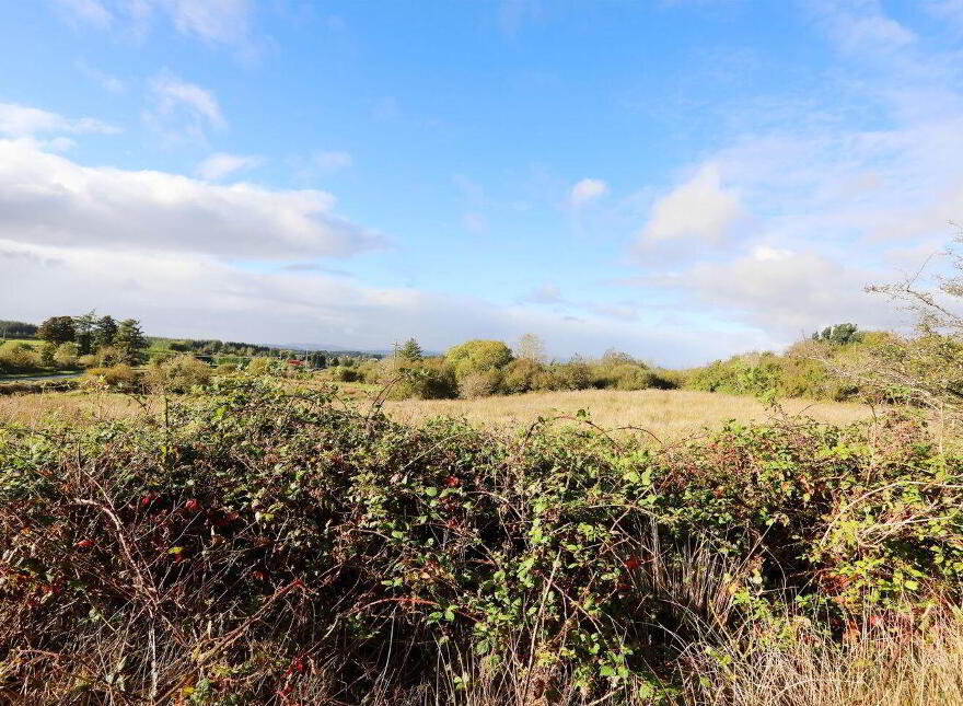 C. 12.5 Acres & Derelict Cottage, Curryanne, Swinford