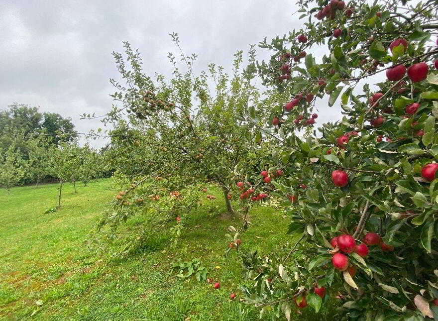 Roseville, Mullingar Road, Castlepollard, N91AH97