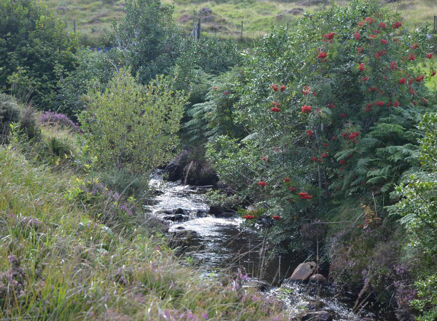 Upper Dunmore, Falcarragh, Letterkenny