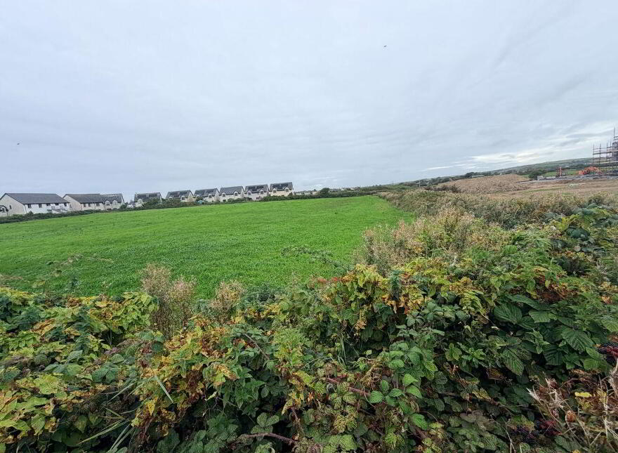Garryvoe, Garryvoe