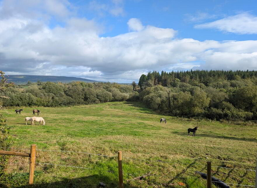 Tullynamoltra, Swanlinbar, H14KX94