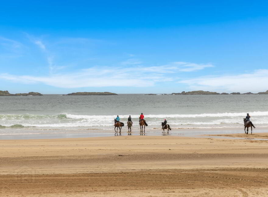 3 The Vue, 2 Strand Road, Portrush, BT56 8FT